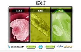 icell - celula en 3d