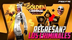 crimi dorado